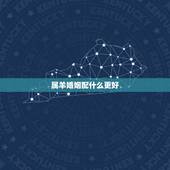 属羊婚姻配什么更好，女属蛇男属羊婚姻配