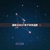 属蛇人2021年下半年运势，蛇人2021年运势运程
