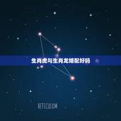 生肖虎与生肖龙婚配好吗，属龙与属虎能婚配吗