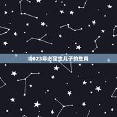 2023年必定生儿子的生肖，2023年出生属什么？
