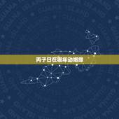 丙子日在哪年动姻缘，丙子日柱女命无儿无女