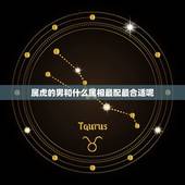 属虎的男和什么属相最配最合适呢，属虎的男人和什么属相最配