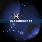 属鼠男和属鼠女属相合不合，生肖配对属鼠和属鼠适合做夫妻吗 属相婚配鼠配