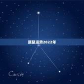 属鼠运势2022年，2022年必有添丁之喜的生肖