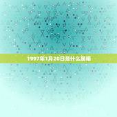 1997年1月20日是什么属相，1997年公历1.17号是属什么的