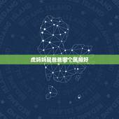 虎妈妈鼠爸爸哪个属相好，爸爸是属鼠，妈妈属虎，生个什么属相宝宝的合适