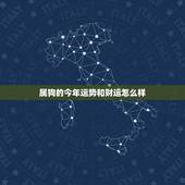 属狗的今年运势和财运怎么样，属狗明日运势财运如何