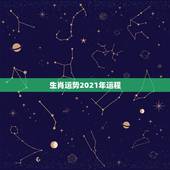 生肖运势2021年运程，2021年生肖运势大全