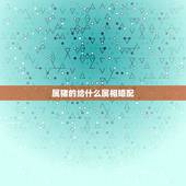 属猪的给什么属相婚配，属猪的和哪些属相相配