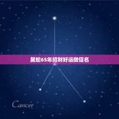 属蛇65年招财好运微信名，微信头像那些最吉利？