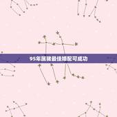 95年属猪最佳婚配可成功，女属猪95年4月的属相婚配表