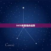 1975年属兔的运势，1975年属兔的一生运势
