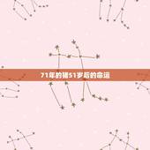 71年的猪51岁后的命运，71年属猪女人的运气