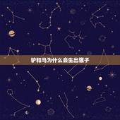 驴和马为什么会生出骡子，马和驴只能生骡子吗