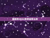 属蛇的2022年财运怎么样，2022到2023年属蛇运势