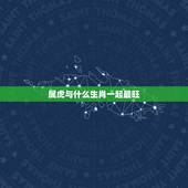 属虎与什么生肖一起最旺，属虎的和什么属相合作比较合财