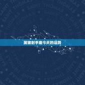属猪射手座今天的运势，属猪1995男射手座2011学业运势