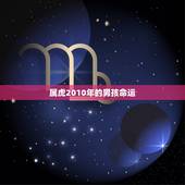 属虎2010年的男孩命运，2010年的男孩