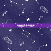 马的生肖今年运势，十二生肖爱情运势的生肖马