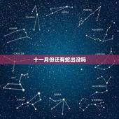 十一月份还有蛇出没吗，梦见蛇还有血