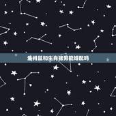 生肖鼠和生肖猪男能婚配吗，生肖猪和生肖鼠配吗？