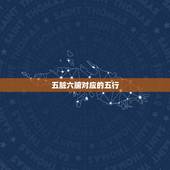 五脏六腑对应的五行，五行中木火水金土分别对应人体哪些脏腑？