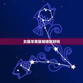 女属羊男属相婚配好吗，女属羊与什么属相相配
