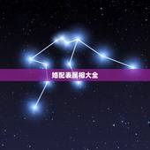 婚配表属相大全，马配对的属相婚配表