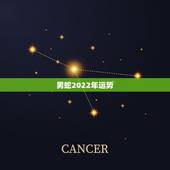 男蛇2022年运势，2021年蛇男全年运势