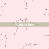 十二星座契合度配对 什么星座最笨又很漂亮