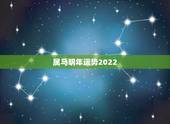 属马明年运势2022，2022属鸡人每月运势