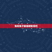 兔和兔子属相婚配如何，兔与属什么的结婚最合适？