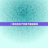 一般住在东户的房子最佳属相，属相和楼层风水