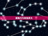 属兔六几年生多大，属兔的适合生什么宝宝