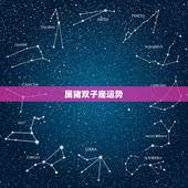 属猪双子座运势，属猪人双子座今年运势