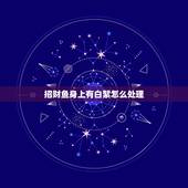 招财鱼身上有白絮怎么处理，我的招财猫(鱼)身上最近几天总是有象一层白膜