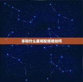 羊和什么属相配婚姻如何 羊配什么生肖最好