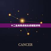 十二生肖男虎和女虎婚配好吗，属虎的男生和什么属相的女生最相配