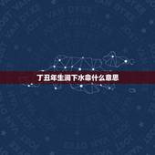丁丑年生涧下水命什么意思，属牛1997涧下水命详解