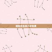 婚配合生辰八字免费，免费生辰八字合婚给分