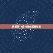 属猴男11月和什么属相婚配，属猴的和什么属相最相配 12属相婚配表
