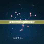 属兔妈妈生什么属相宝宝最好，属兔的父母生个什么属相的孩子比较好？