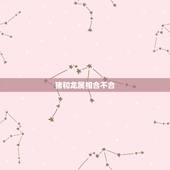 猪和龙属相合不合，猪和龙属相合不合夫妻