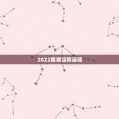 2022属猪运势运程，1971年大金猪在2022年虎年运程如何？
