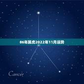 86年属虎2022年11月运势，1987年属兔2022 年运势及运程每月运程