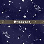 1959年属猪命不长，五九年属猪什么命