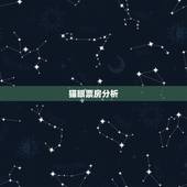 猫眼票房分析，猫眼的票房预测在哪里看？