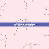 女羊男鸡属相婚配好吗，属相婚配鸡和羊