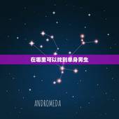 在哪里可以找到单身男生，哪里能找到有钱的单身男人？
