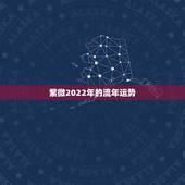 紫微2022年的流年运势，紫微斗数2022年流年运势